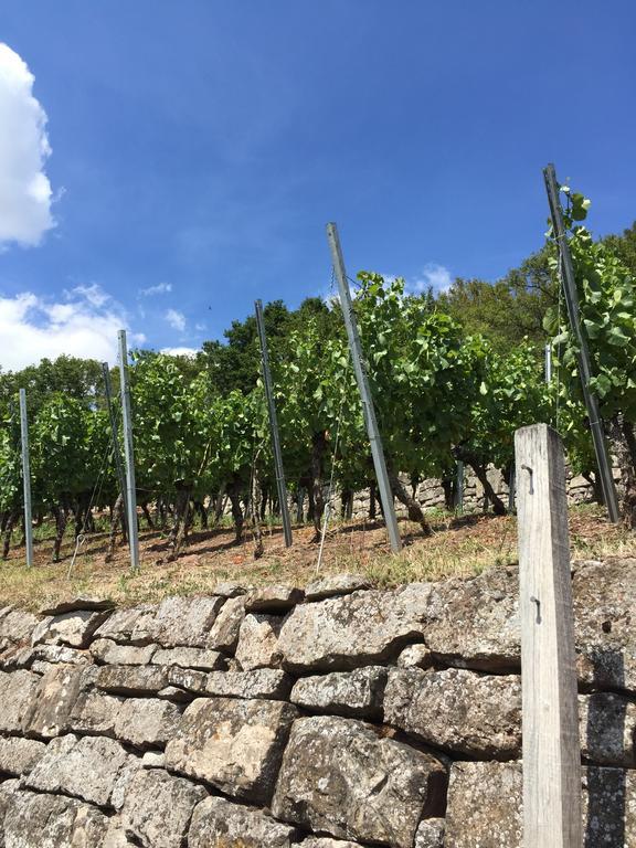 Alte Rose Gasthaus Ebelsbach Dış mekan fotoğraf